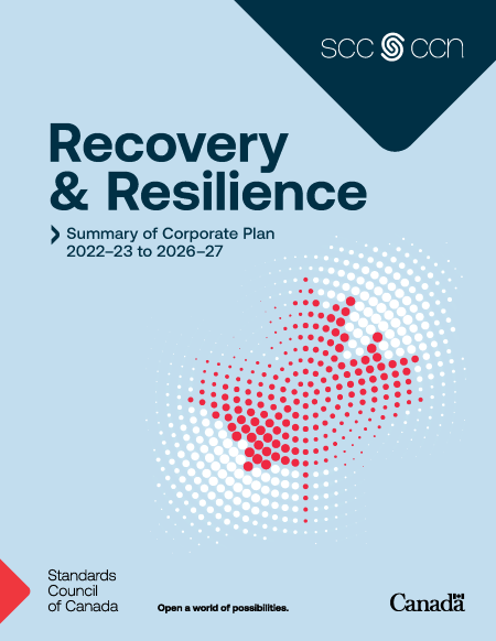 Download corporate plan summary