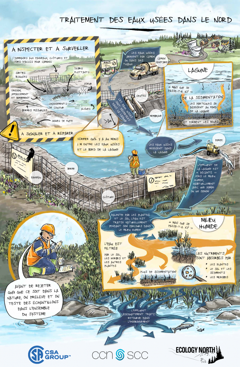Traitement des eaux usées dans le Nord