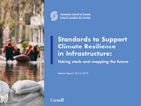 Standards to Support Climate Resilience in Infrastructure: Taking stock and mapping the future