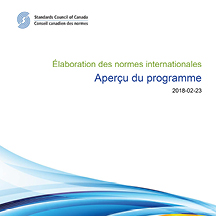 Élaboration des normes internationales - Aperçu du programme
