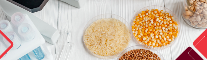 Food in trays beside testing tubes and microscope