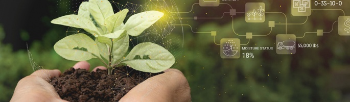 Soil and plant in hands