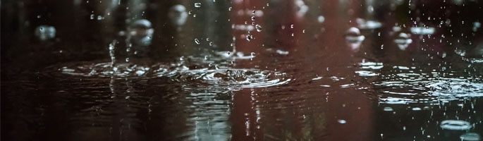 rain